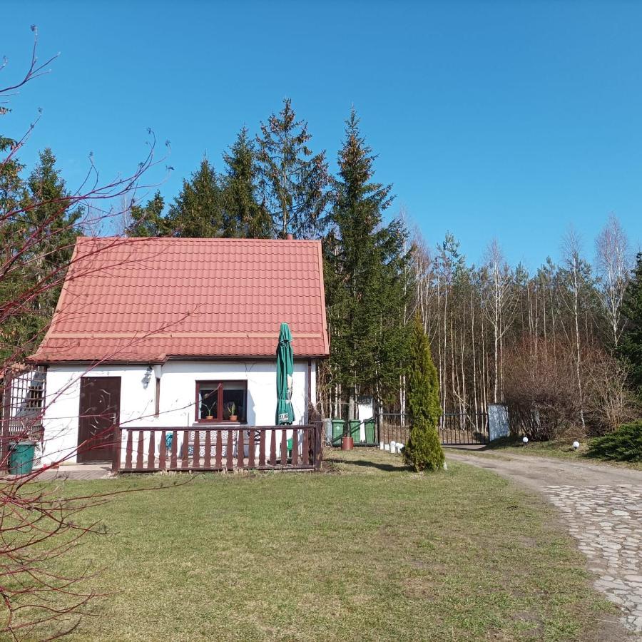 Apartment Siedlisko Pili Pili *