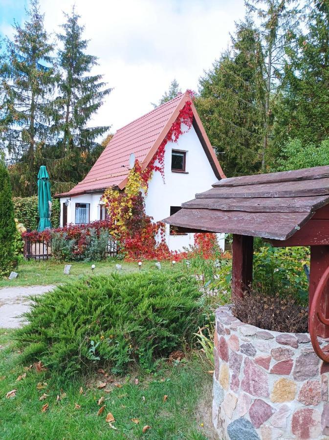 Siedlisko Pili Pili Apartment